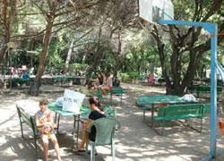 Paradisino, il proprietario chiede i danni al Comune 