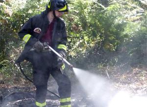 Bosco in fiamme in collina: bruciano decine di alberi 