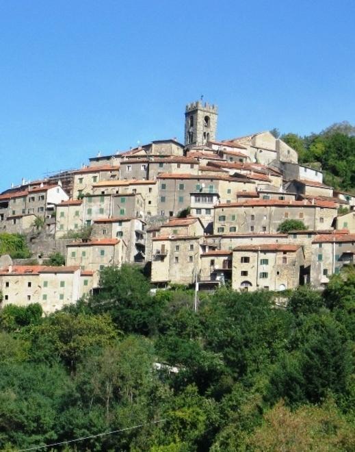 Avvistato un lupo vicino al giardino della chiesa di Pontito
