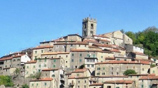 Avvistato un lupo vicino al giardino della chiesa di Pontito