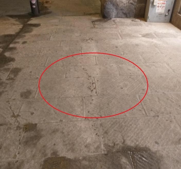 Ferito al braccio e alla testa dal lancio di una bottiglia 