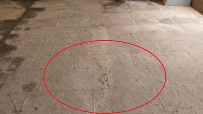 Ferito al braccio e alla testa dal lancio di una bottiglia