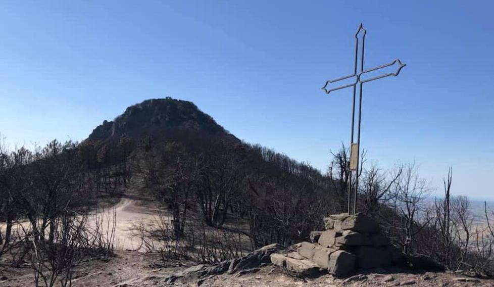 Un calendario di eventi a un anno dall’incendio del Monte Pisano 