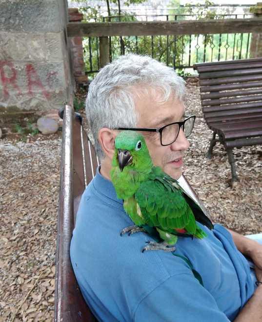 Pappagalli in mostra al parco di Villa Flori 