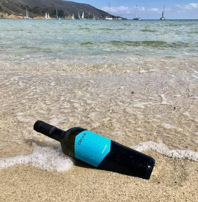 Le eccellenze in tavola, dal pesce al buon vino 