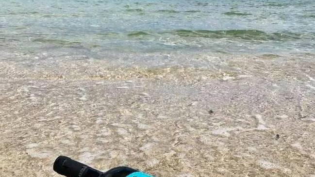 Le eccellenze in tavola, dal pesce al buon vino