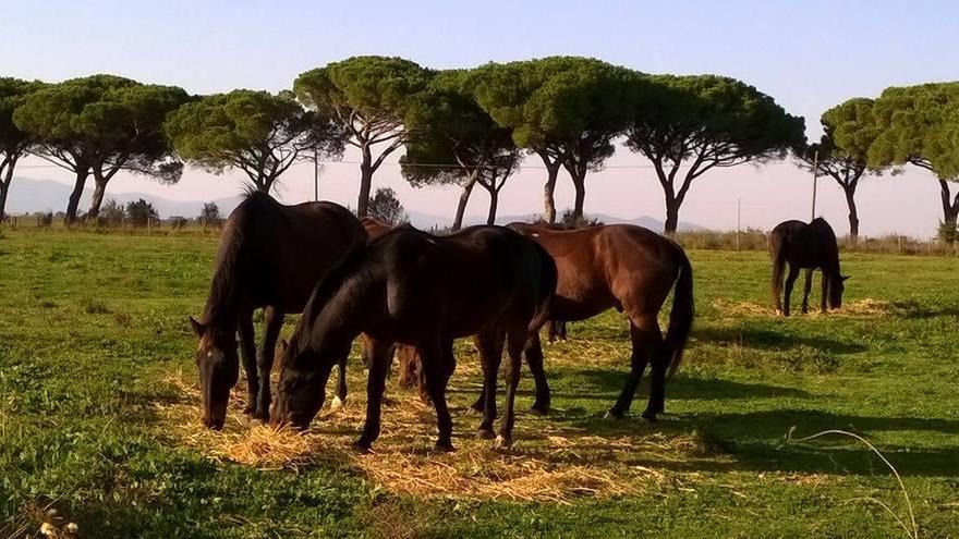 Tenuta di Alberese, su un’idea si scatena la polemica politica