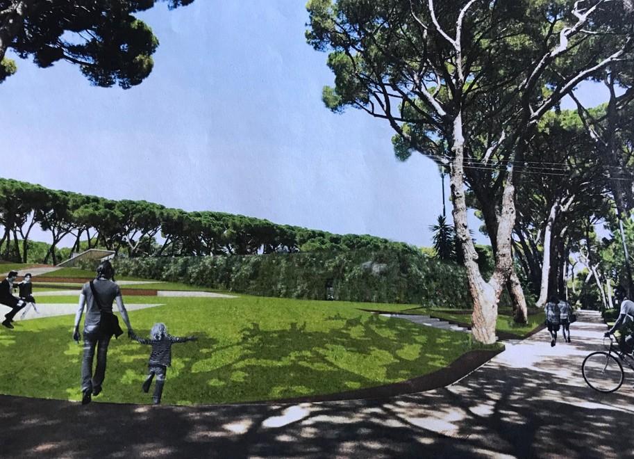 “Caffè Tirreno” sul progetto parcheggio in pineta 