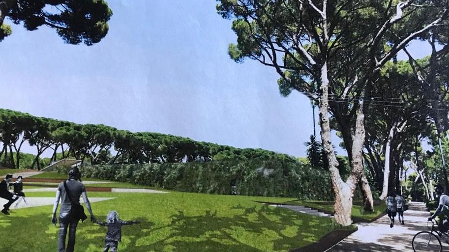 “Caffè Tirreno” sul progetto parcheggio in pineta