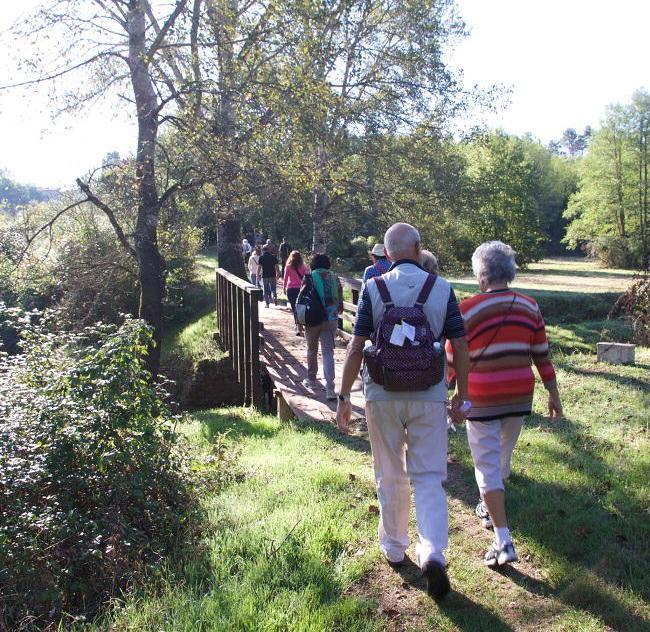 Il turismo lento esalta la Via Francigena 