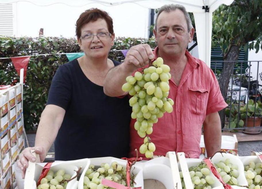 Weekend sotto il segno dell’uva: Collinaia invita alla festa 