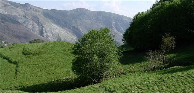 Un parco avventure sulle Alpi Apuane dopo l’ok al bilancio 