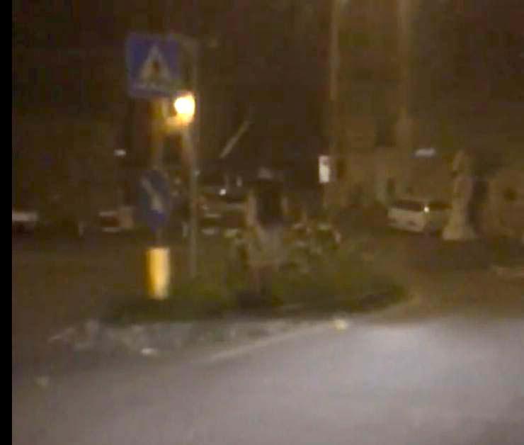 Samara avvistata a Carrara