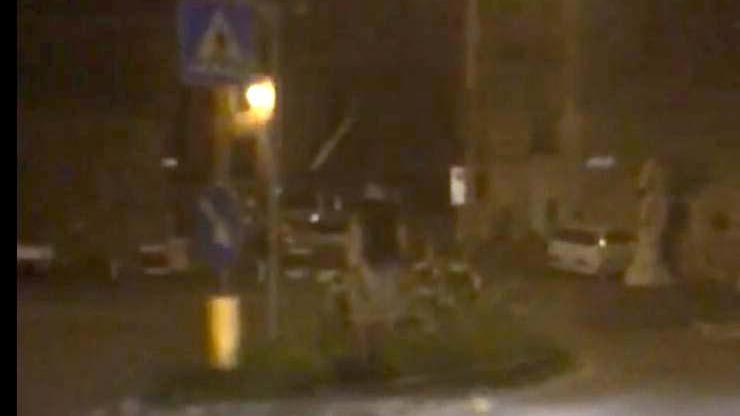 Samara avvistata a Carrara