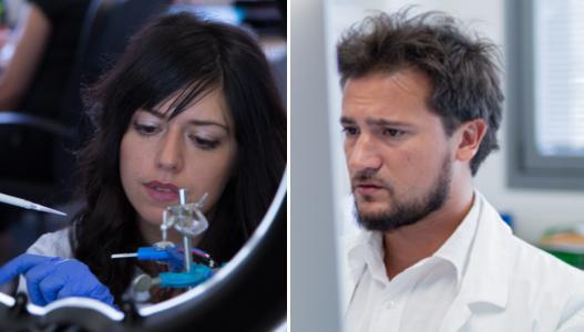 Papilloma virus, realizzato il primo test disponibile in farmacia 