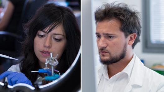 Papilloma virus, realizzato il primo test disponibile in farmacia