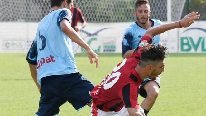 Lucchese, Benassi e Falomi dall’inizio in Piemonte