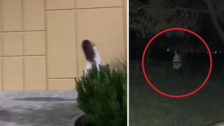 “Samara”, nuovi avvistamenti Ma c’è chi sdrammatizza