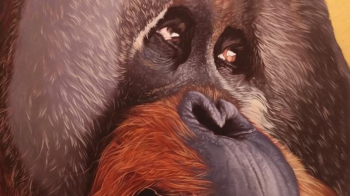 Modena. Sghedoni Art Factory “Umani e altri animali”, l’arte incontra il mondo dell’etologia