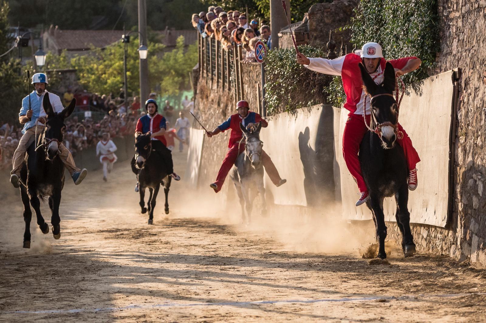 Il Palio di Campagnatico (foto di Gabriele Pisicchio)