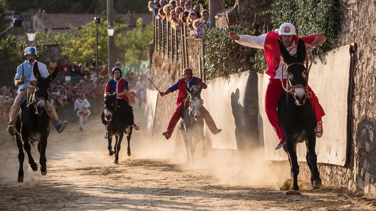 Il Palio di Campagnatico (foto di Gabriele Pisicchio)