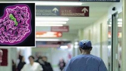 Batterio New Delhi, inizia lo screening Trovato un paziente infetto, l’Asl rassicura