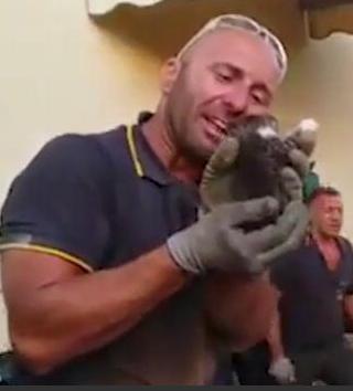 Il vigile salva il gattino, si commuove e il video spopola. "Tra tanto dolore, un'emozione positiva" 