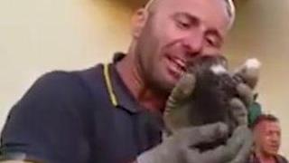 Il vigile salva il gattino, si commuove e il video spopola. "Tra tanto dolore, un'emozione positiva"