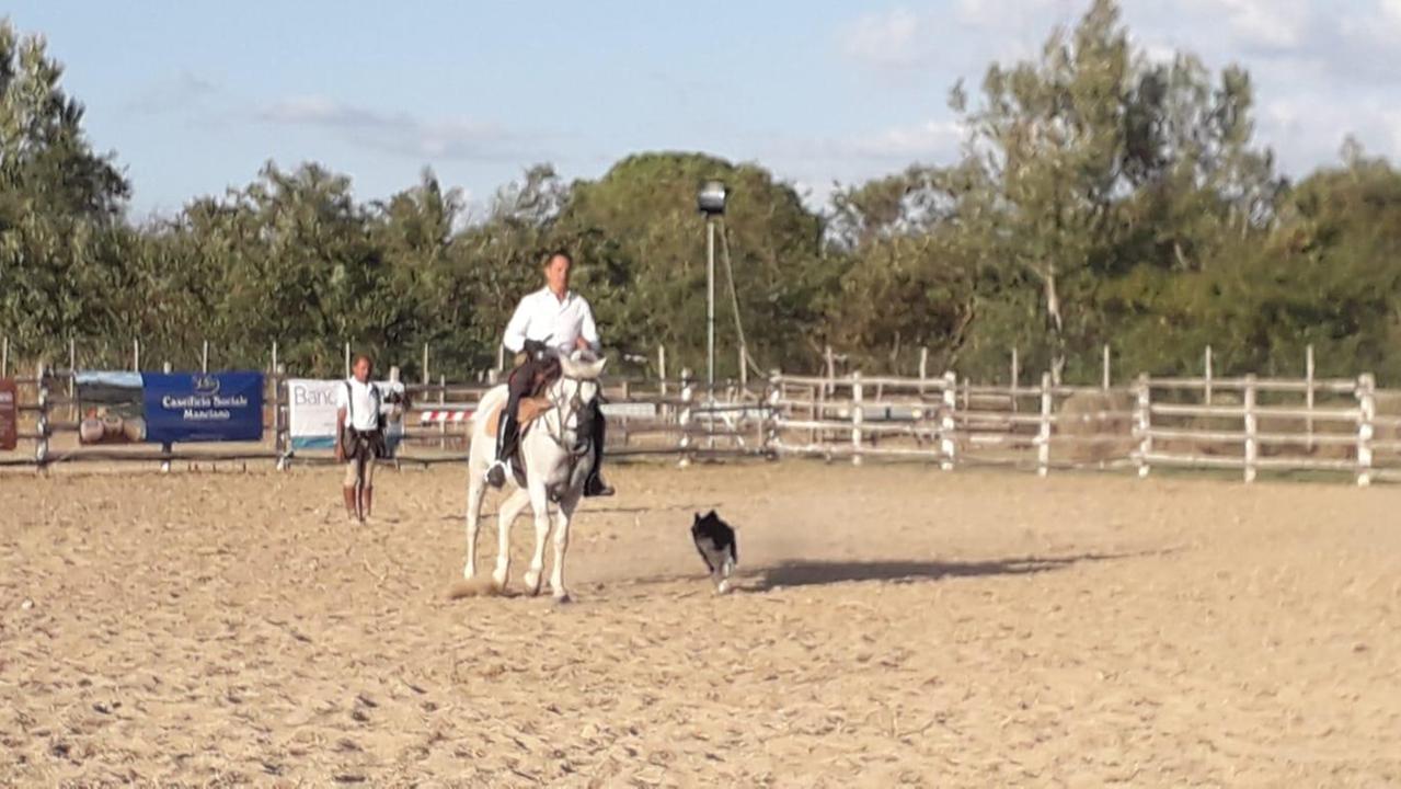 Una delle esibizioni durante il Game Fair 2019