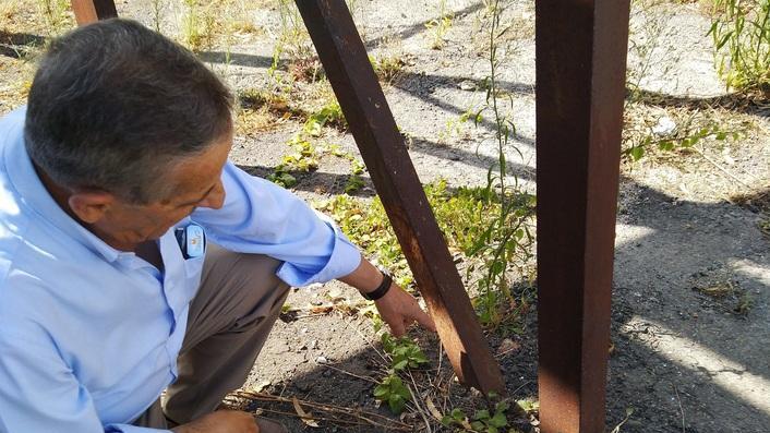 «Idroscalo, patrimonio divorato dal degrado»