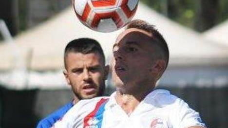 grifoni imprendibile furetto