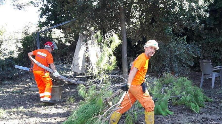 Alluvione di Livorno: «Vi racconto il rumore del diluvio maledetto e la città trasfigurata»