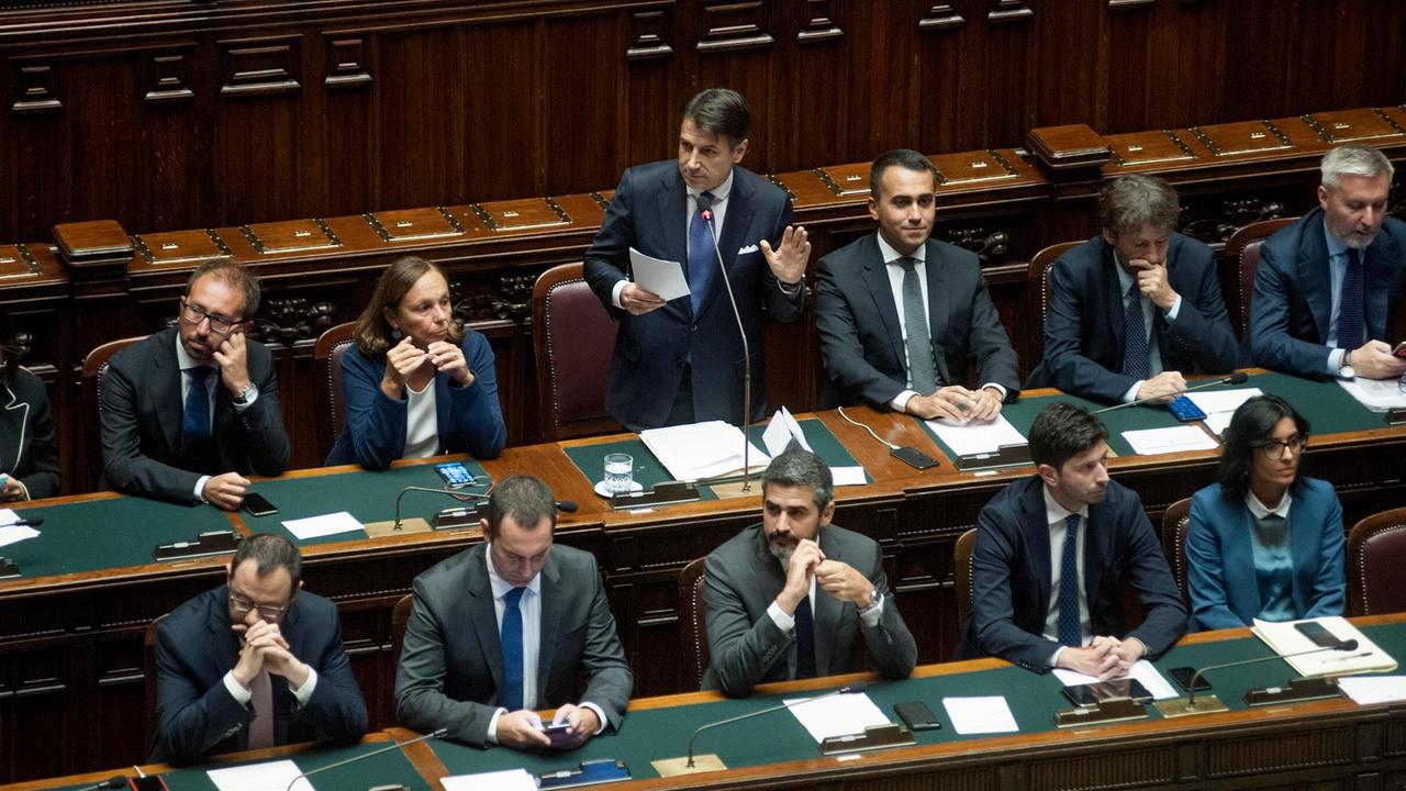 Sistema e anti-sistema alleati in una strana creatura