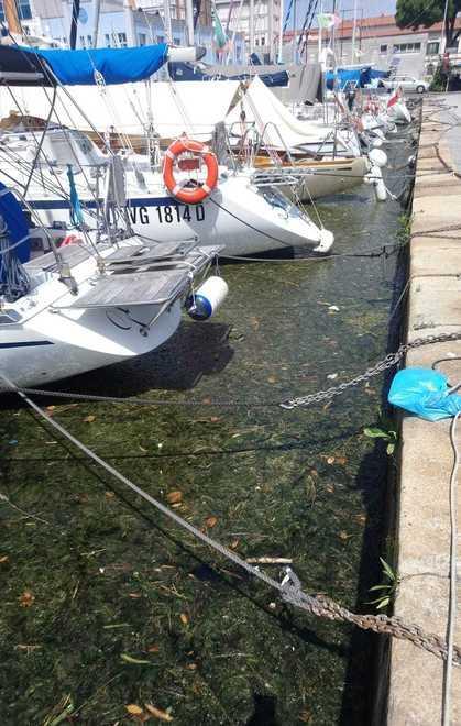 Tanti rifiuti tra le barche