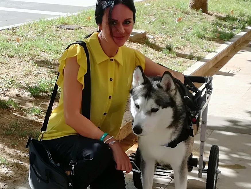 Fino in Puglia per adottare Amir, cane travolto ad un'auto: «Gli darò una nuova vita» 
