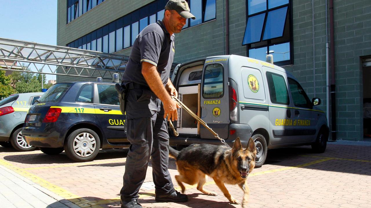 Modena. Spacciatore di cocaina smascherato dal cane antidroga