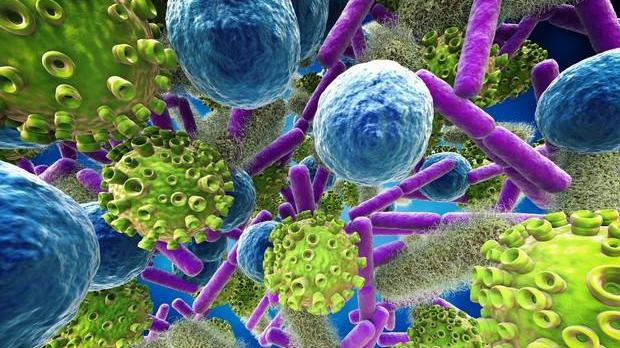 Ospedali, è allarme sepsi in Toscana: la resistenza agli antibiotici uccide 1 paziente su 3