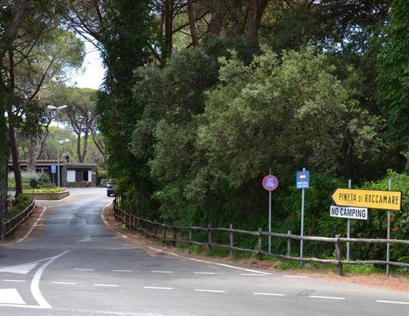 L'ingresso alla pineta di Roccamare