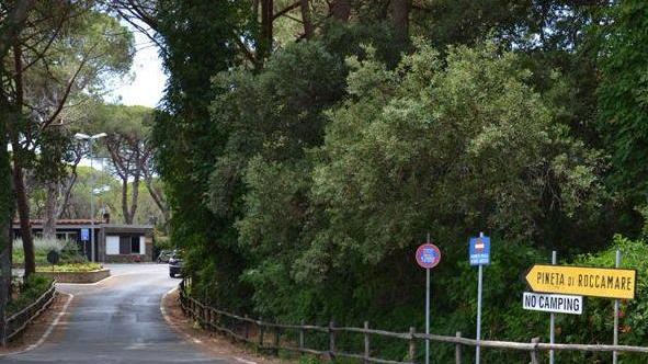 L'ingresso alla pineta di Roccamare
