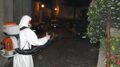 Modena. Sospetto caso di dengue, falso allarme nella zona di viale Reiter