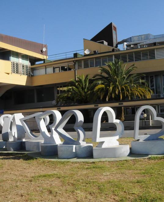 Servizio civile, per 21 giovani opportunità al Noa e in Comune 