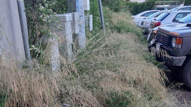 Via Ponticello l’erba alta fa il solletico alle ginocchia