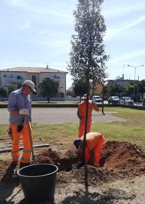 Un albero a scuola per l’impegno sul clima