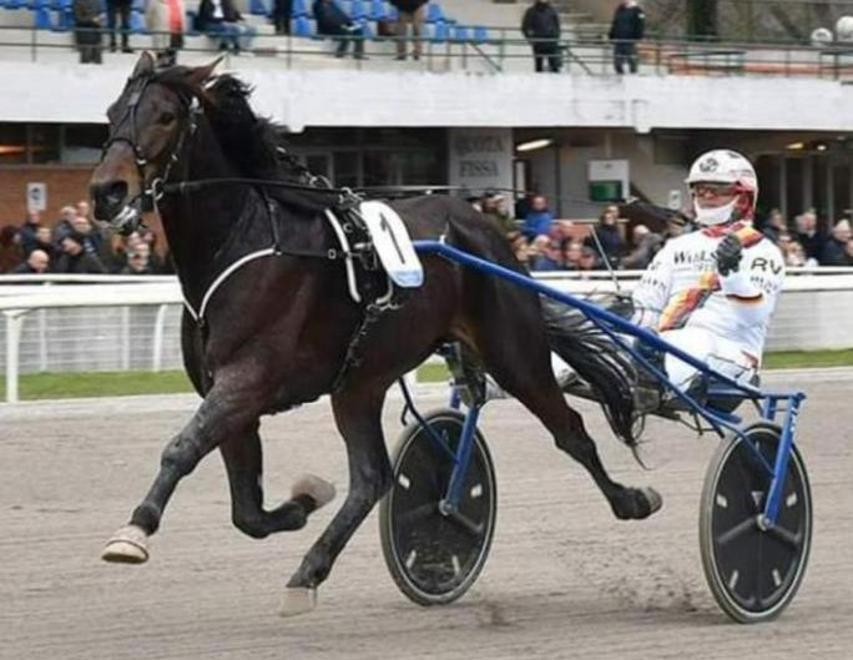 Anche la star Zacon Gio al via del Città di Follonica Dieci vittorie consecutive 