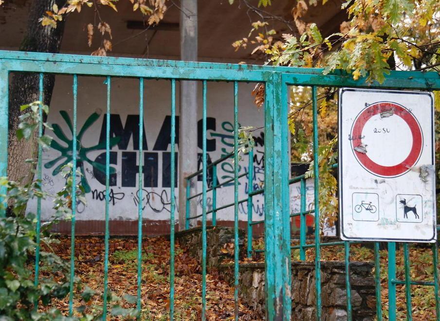 Ramo crollato al Macchia verde «Nessun pericolo» 
