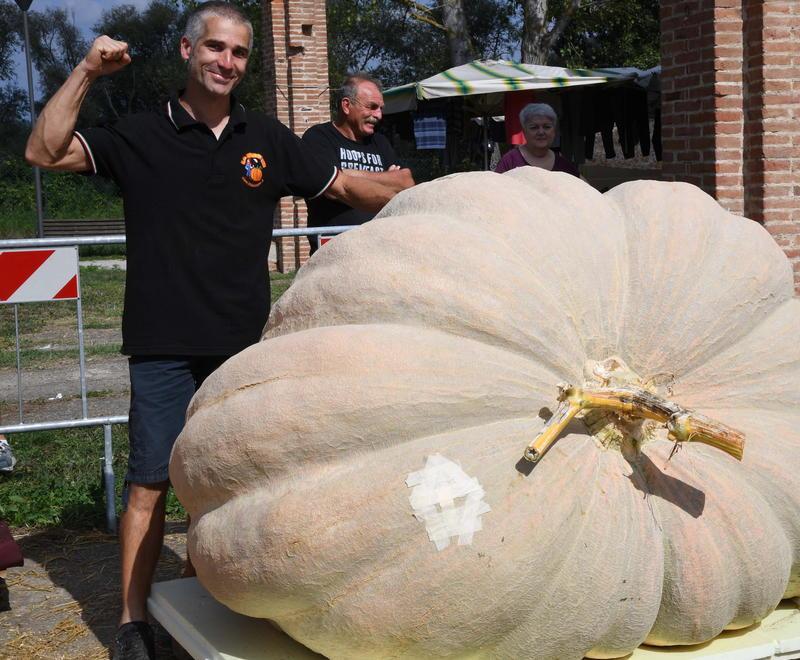 Zucche giganti, la sfida si rinnova al parco fluviale 