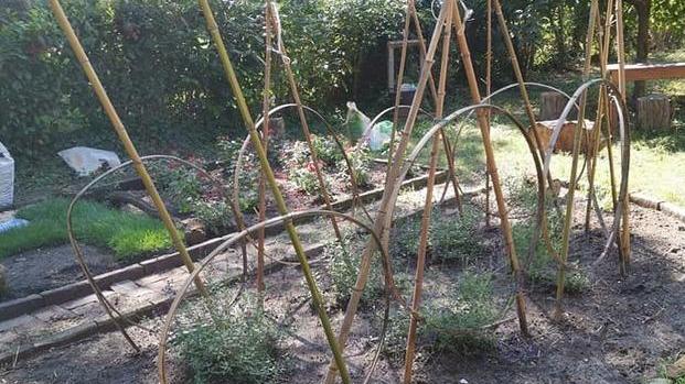 L’orto torna nascere dietro l’Abbazia E la storia si ripete