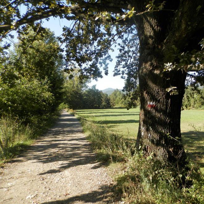 Via Francigena: la segnaletica è ko e i pellegrini camminano tra le auto 