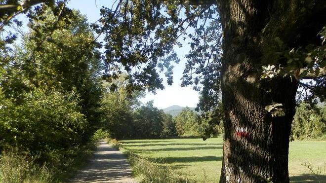 Via Francigena: la segnaletica è ko e i pellegrini camminano tra le auto