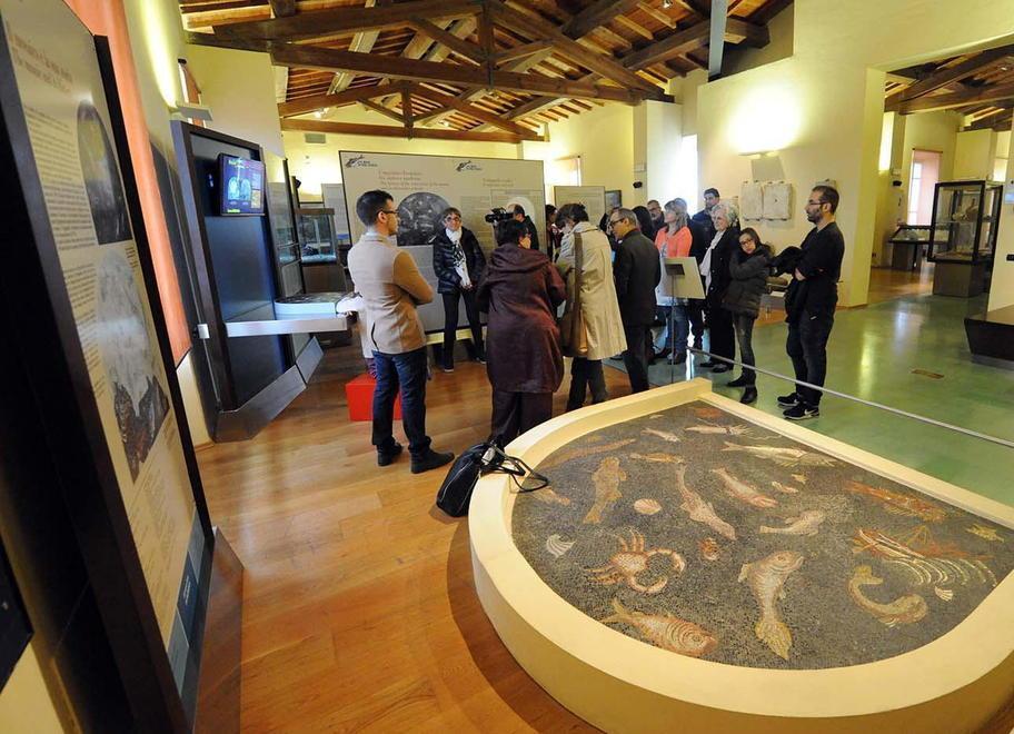 Per “Il mosaico dei pesci” breve trasloco a Ravenna 
